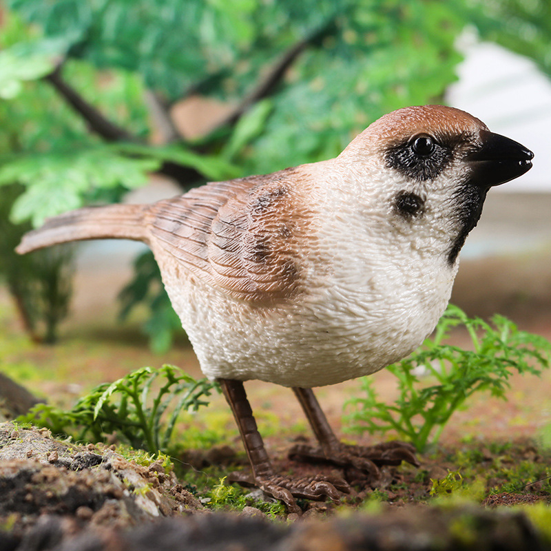 Đồ trang trí Chim Sẻ / Sẻ / Chim Sẻ Đồ Chơi Giáo Dục Sớm Cho Bé