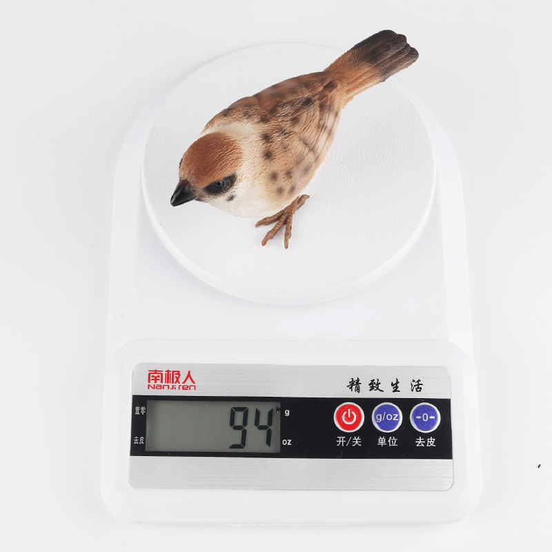 Đồ trang trí Chim Sẻ / Sẻ / Chim Sẻ Đồ Chơi Giáo Dục Sớm Cho Bé