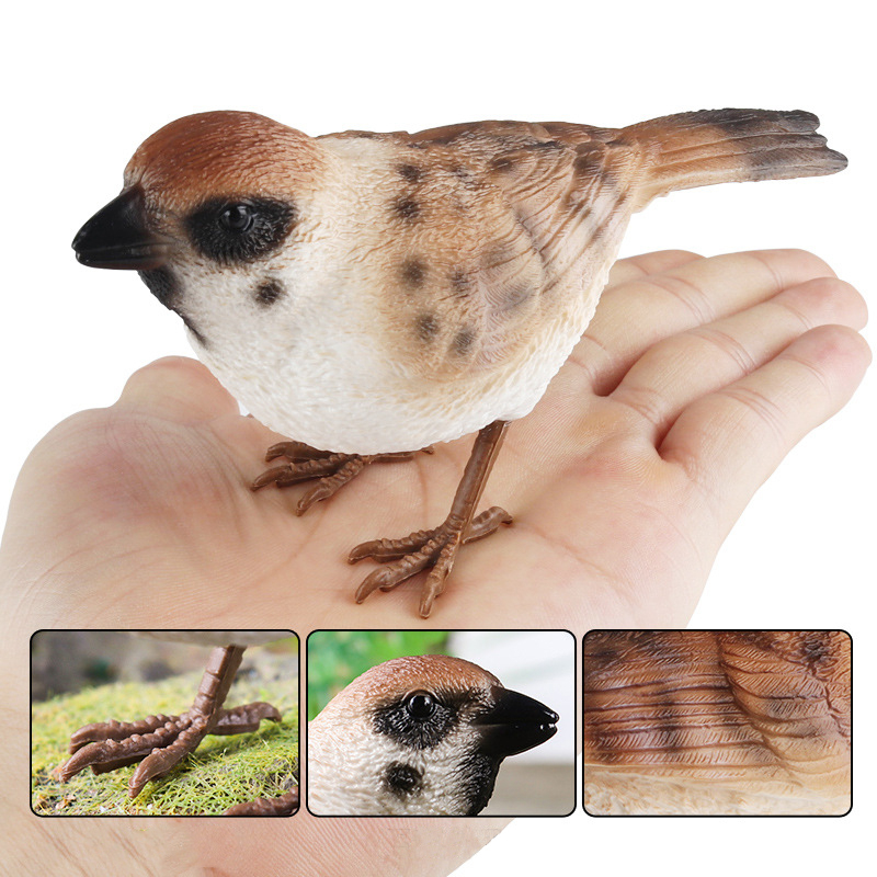 Đồ trang trí Chim Sẻ / Sẻ / Chim Sẻ Đồ Chơi Giáo Dục Sớm Cho Bé