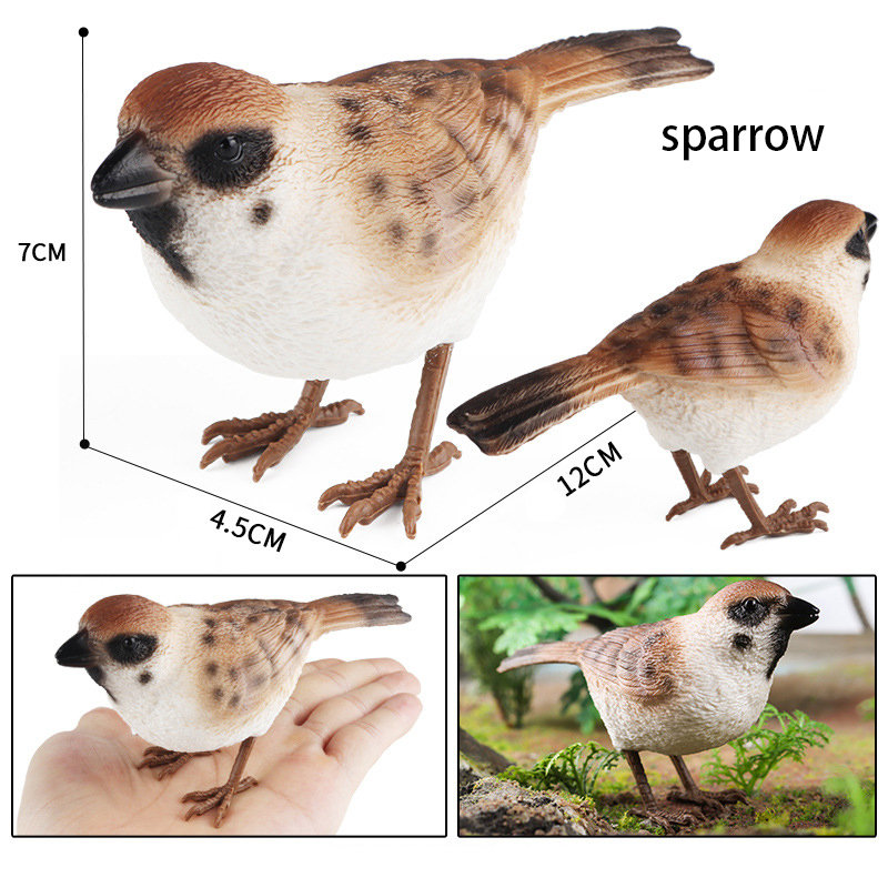 Đồ trang trí Chim Sẻ / Sẻ / Chim Sẻ Đồ Chơi Giáo Dục Sớm Cho Bé