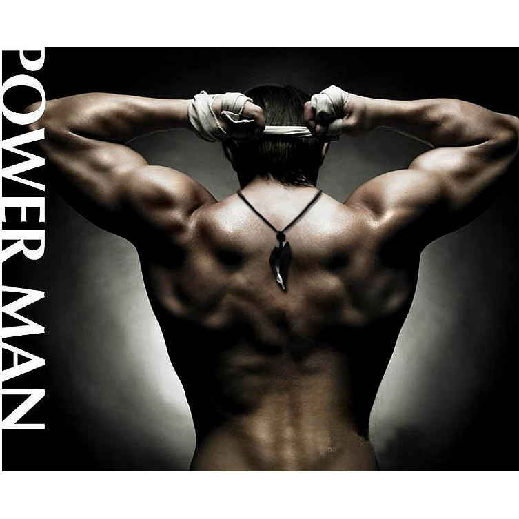 Vòng cổ Mặt Răng Sói Đính Pha Lê Độc Đáo Thời Trang Cho Nam