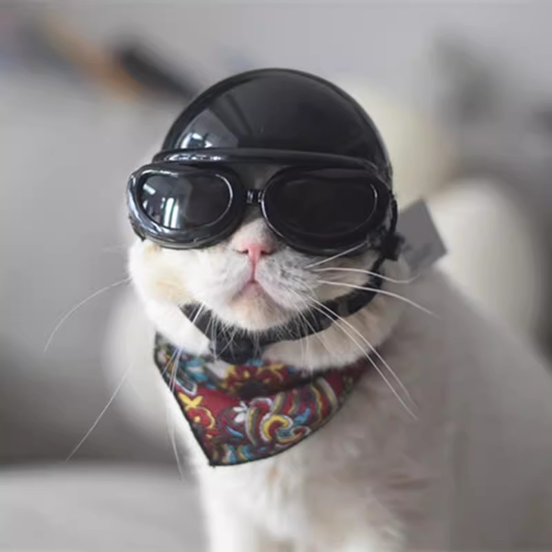Nón Bảo Hiểm Chó Mèo Dễ Thương Mũ Bảo Hiểm Chó Con Xe Máy KKPETS