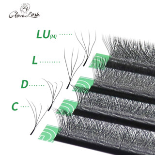 Glamlash 4D Phần mở rộng lông mi hình chữ W L / LU / M Bán buôn 12 hàng W Phong cách Công cụ trang điểm mi mềm mại tự nhiên