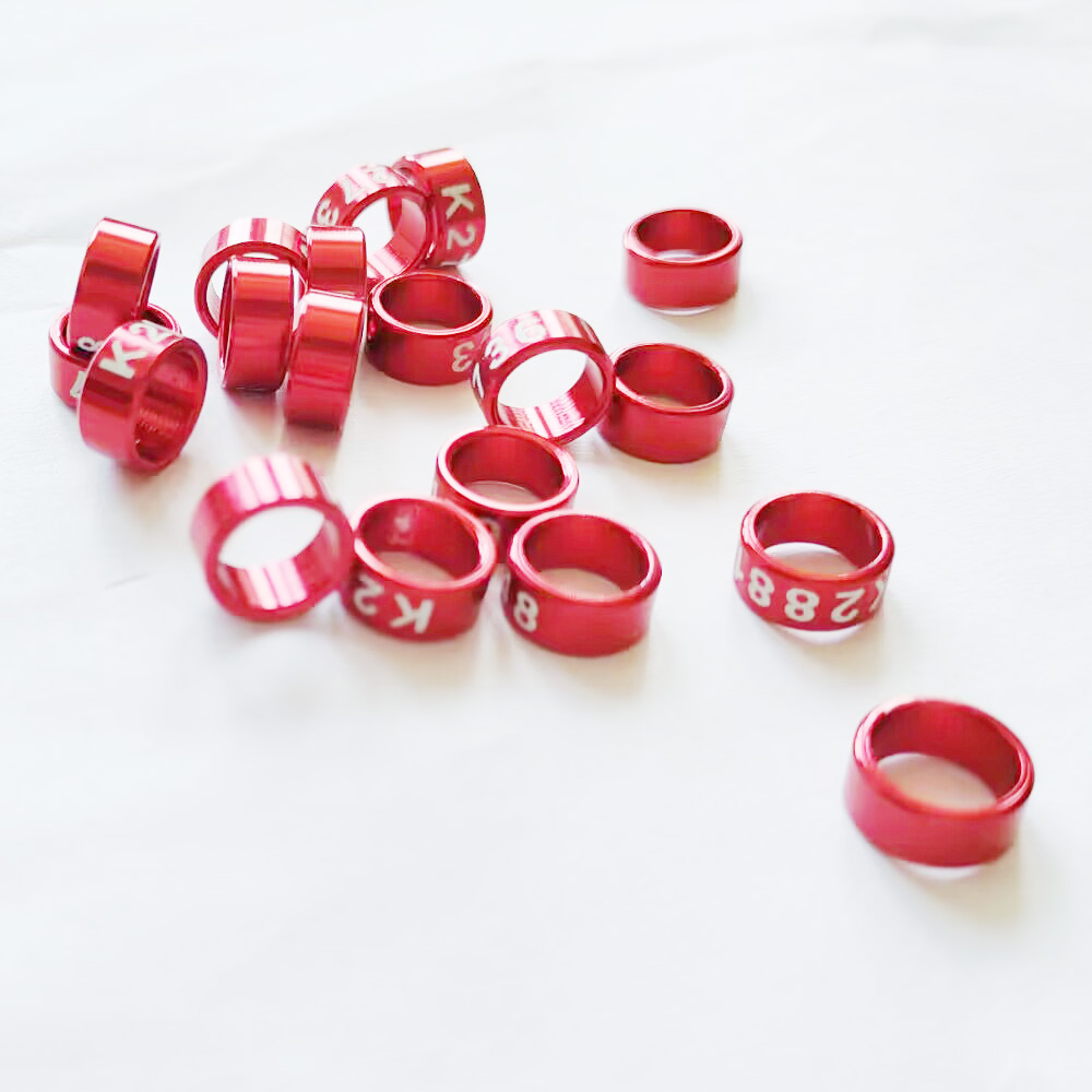 Set 20 Vòng Đeo Chân Nhận Diện Chim Vẹt 3mm Đến 8mm