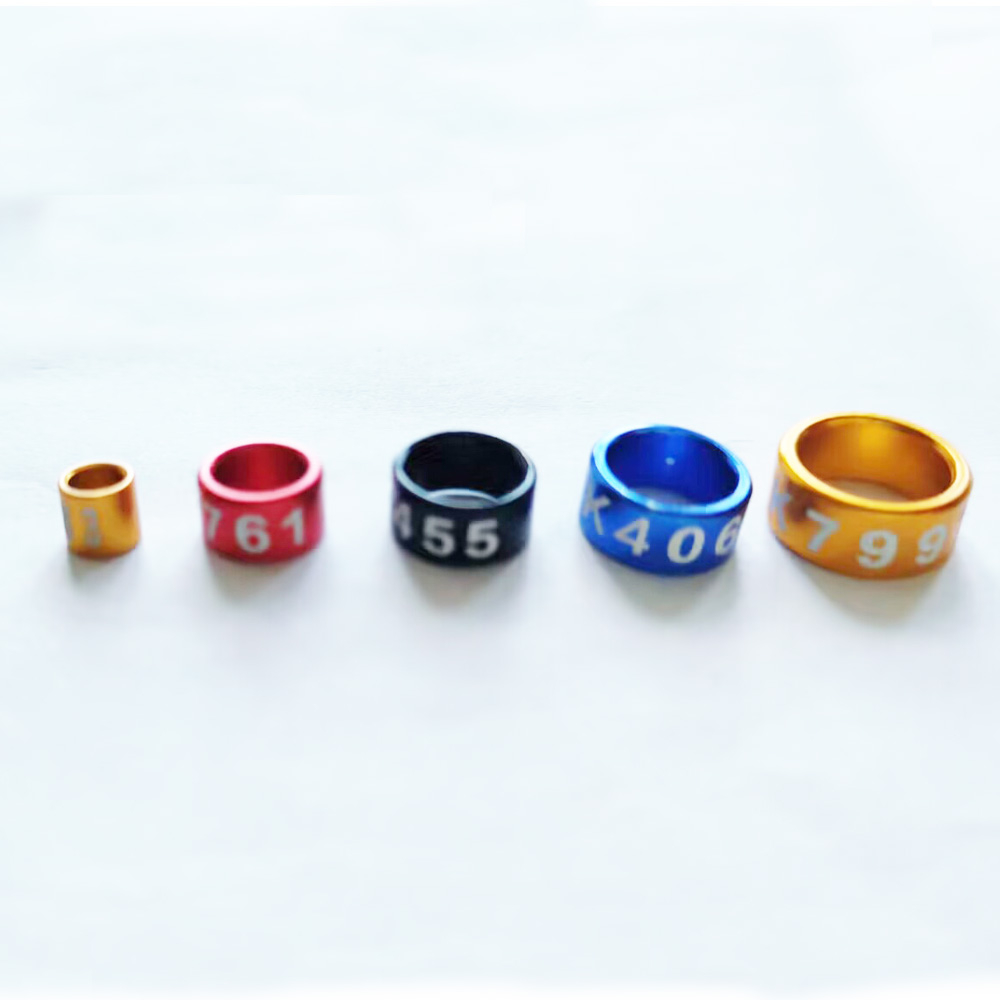 Set 20 Vòng Đeo Chân Nhận Diện Chim Vẹt 3mm Đến 8mm