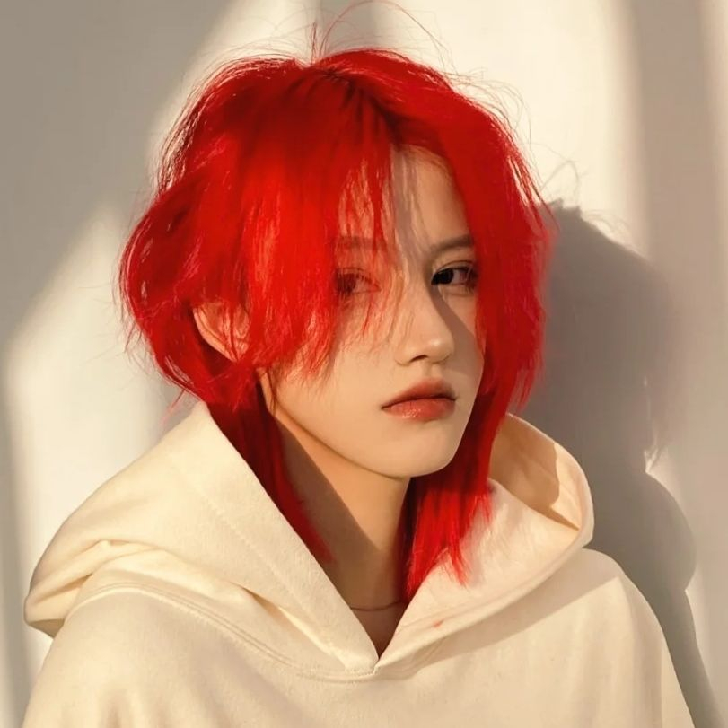 Tóc Giả Ngắn Hóa Trang Đầu Sói Kiểu Nhật Hàn Cá Tính Cho Nam