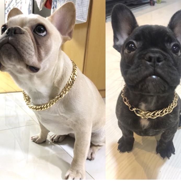 Vòng Cổ Màu Vàng Thời Trang Cho Chó Con