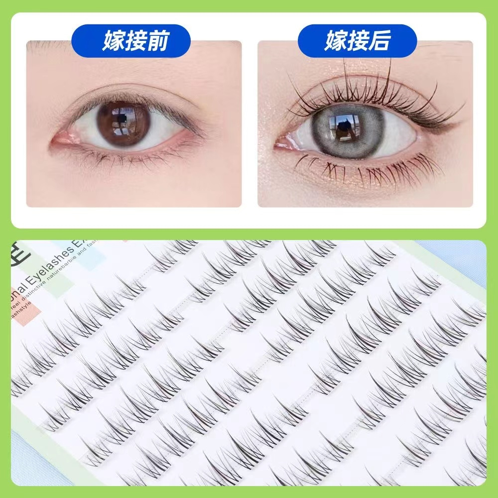 Hộp 120 Lông Mi Giả Màu Nâu / Đen / Nâu Họa Tiết Hoa Hướng Dương Dung Tích Lớn