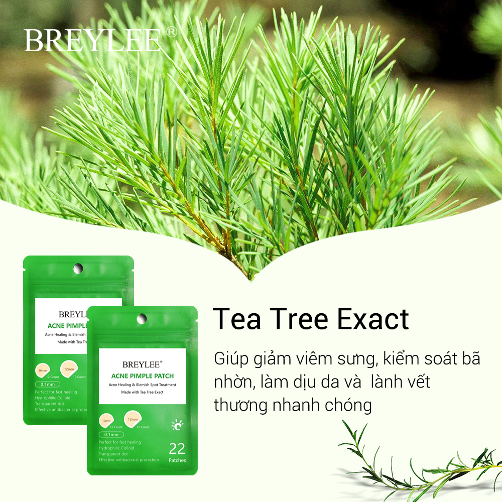 Miếng Dán Mụn BREYLEE
