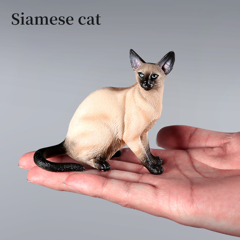 Mô phỏng mô hình mèo cưng dễ thương hình hành động xiêm sphynx ba tư bức tượng nhỏ trang trí nhà đáng yêu đồ chơi giáo dục trẻ em