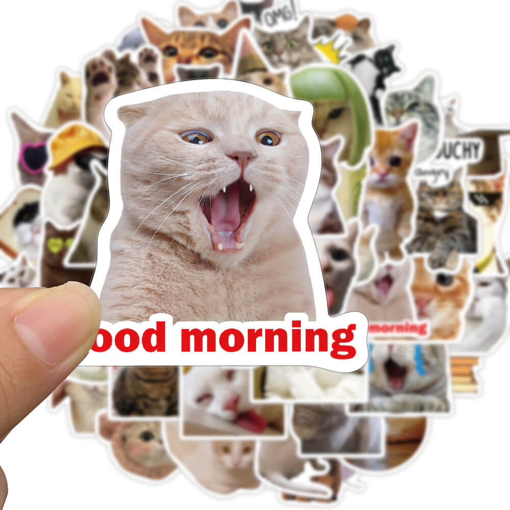 50 cái kawaii cat mood pvc graffiti dán cho máy tính xách tay vali album văn phòng phẩm album không thấm nước đề can đồ chơi trẻ em quà tặng