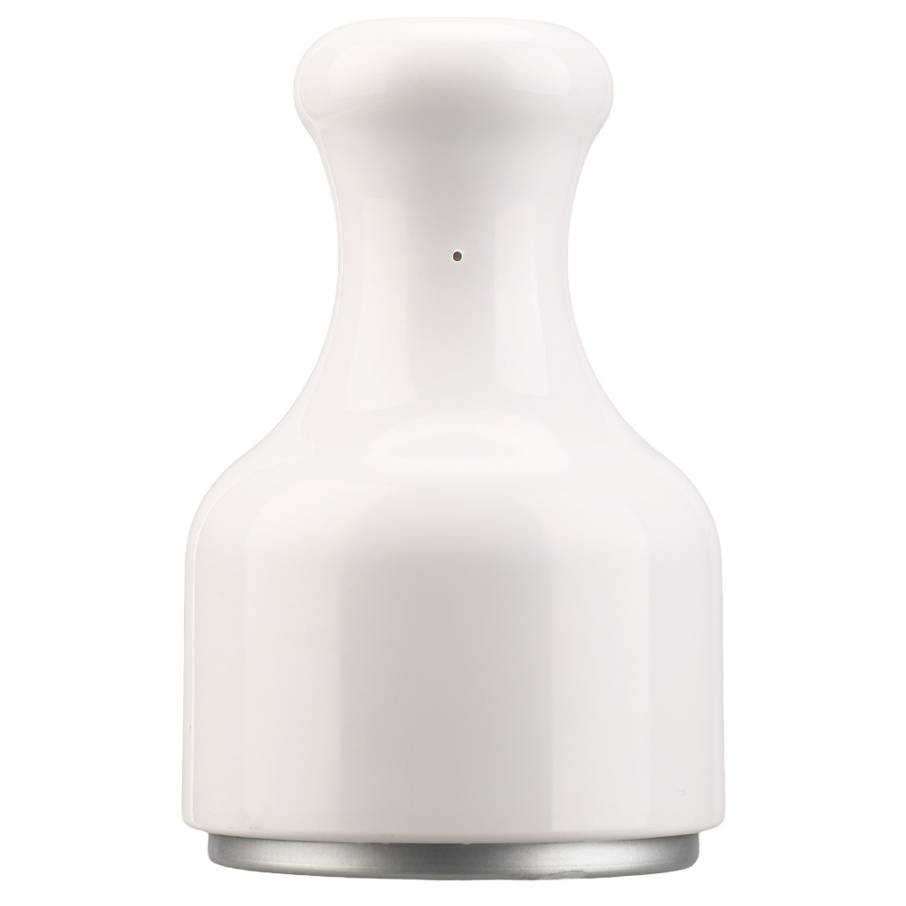 Thanh lăn lạnh massage mặt - Con lăn lạnh Massage mặt bằng đá Làm mát phục hồi da Mặt Thu nhỏ lỗ chân lông Trắng - Beryllium068