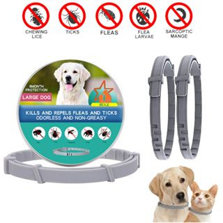 Chó cưng có thể mở rộng Vòng cổ bọ chét Vòng cổ chống ký sinh trùng Cá nhân chống bọ chét và muỗi cho chó lớn Chó con mèo