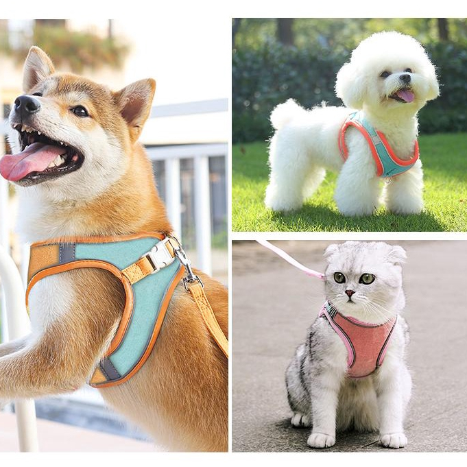 DORRIKEY Dây dắt chó mèo Đi dạo dễ，Thiết kế dễ thương  /dây dắt thú cưng Đi dạo có thể Điều chỉnh LI0548