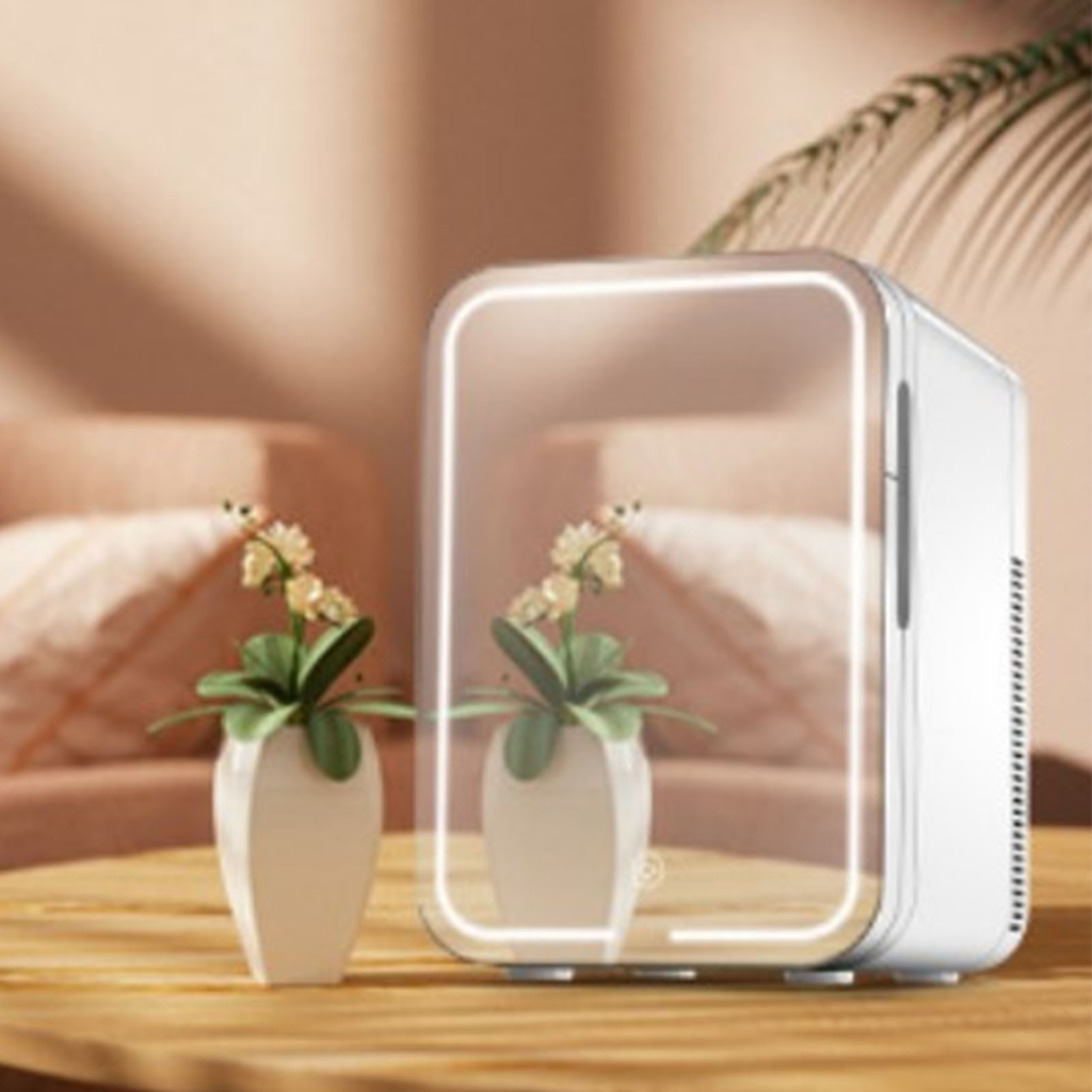 Mini Tủ Lạnh Làm Mát Và Sưởi Ấm Cửa Gương Có Thể Điều Chỉnh Độ Sáng 10L Đông Đẹp Di Động Cho Gia Đình Xe Hơi