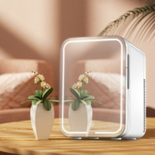 Mini tủ lạnh làm mát và sưởi ấm cửa gương có thể điều chỉnh độ sáng 10l đông đẹp di động cho gia đình xe hơi
