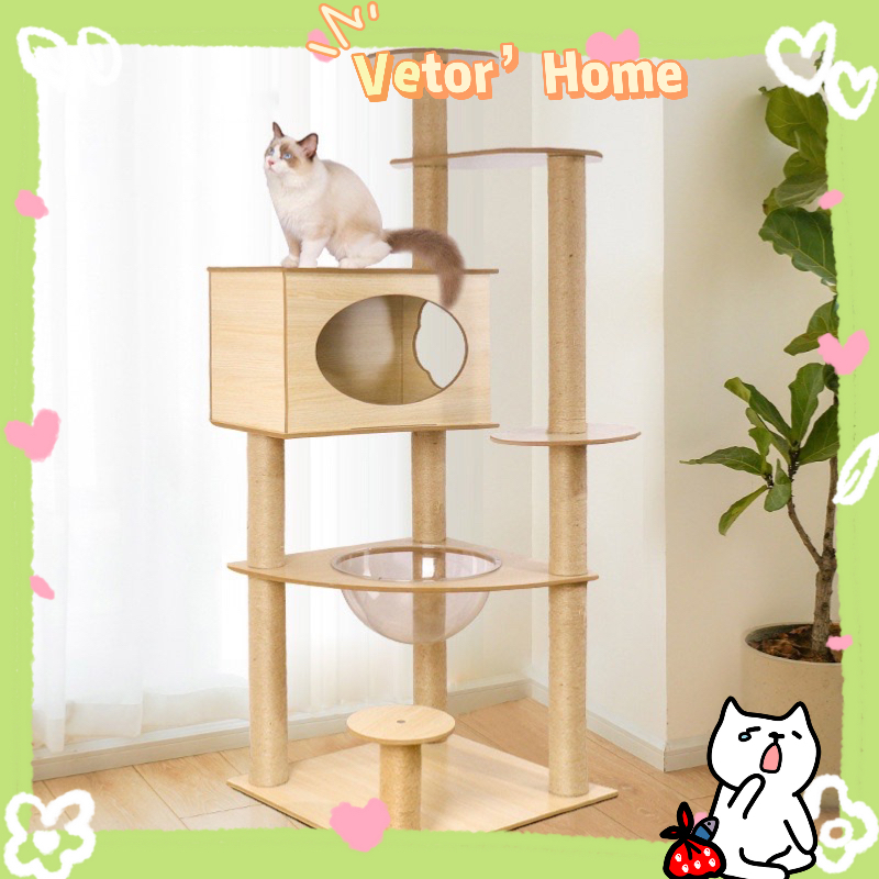 Vetor Nhà Leo Trèo Khung Gỗ Sang Trọng Cho Mèo Cưng