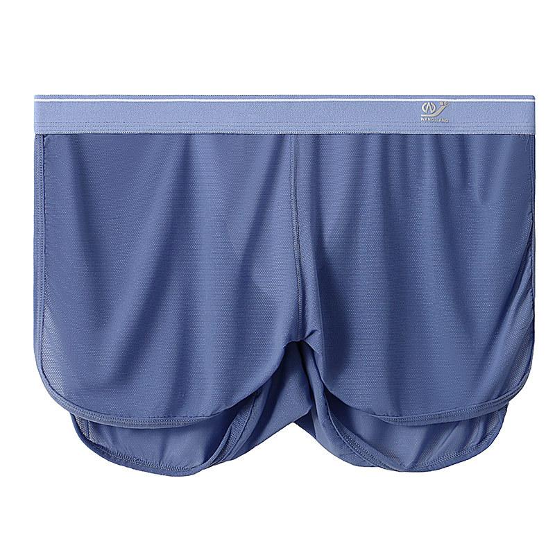 Mùa hè mới ice silk boxer nam lưới đồ lót nam semi-see-through men's boxer briefs