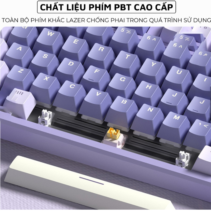 Bàn Phím Cơ Led Gaming X87 GASKET 25 Chế Độ Nháy Cực Đẹp Phím cơ Gõ Click Có Lót Foam