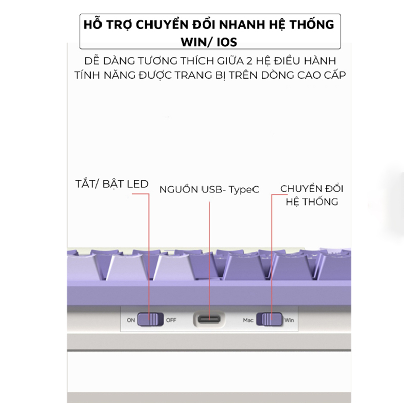 Bàn Phím Cơ Led Gaming X87 GASKET 25 Chế Độ Nháy Cực Đẹp Phím cơ Gõ Click Có Lót Foam