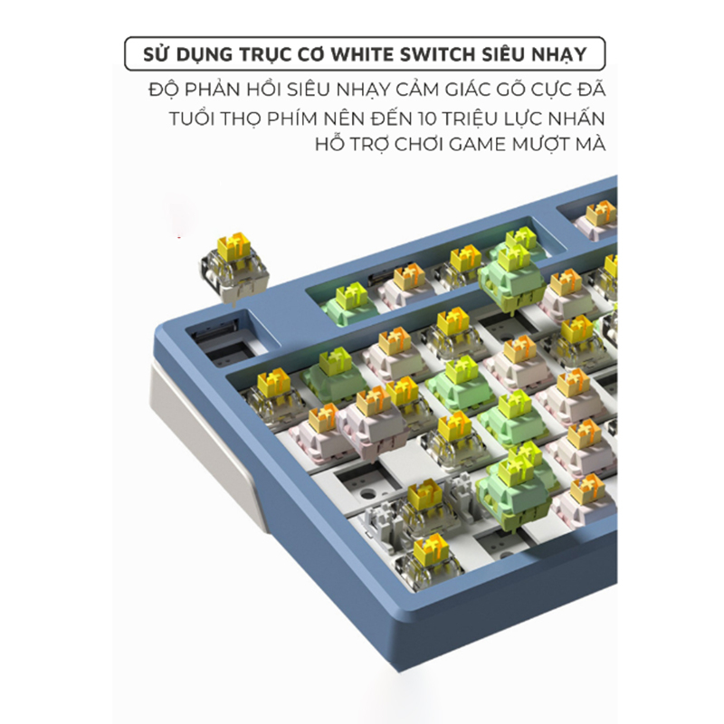 Bàn Phím Cơ Led Gaming X87 GASKET 25 Chế Độ Nháy Cực Đẹp Phím cơ Gõ Click Có Lót Foam