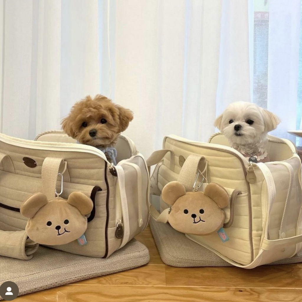 Túi Đựng Tiền Xu / Son Môi / Chìa Khóa Hình Chú Gấu Nhồi Bông Phong Cách Hàn Quốc Dễ Thương