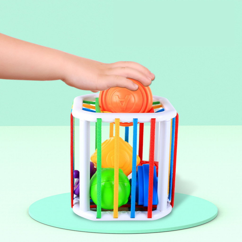 Có thể bán buôn Đồ chơi Montessori cảm giác cho bé Nhận biết màu sắc và hình dạng đào tạo kỹ năng vận động trẻ mới đi ToyRoom Hàng giao ngay