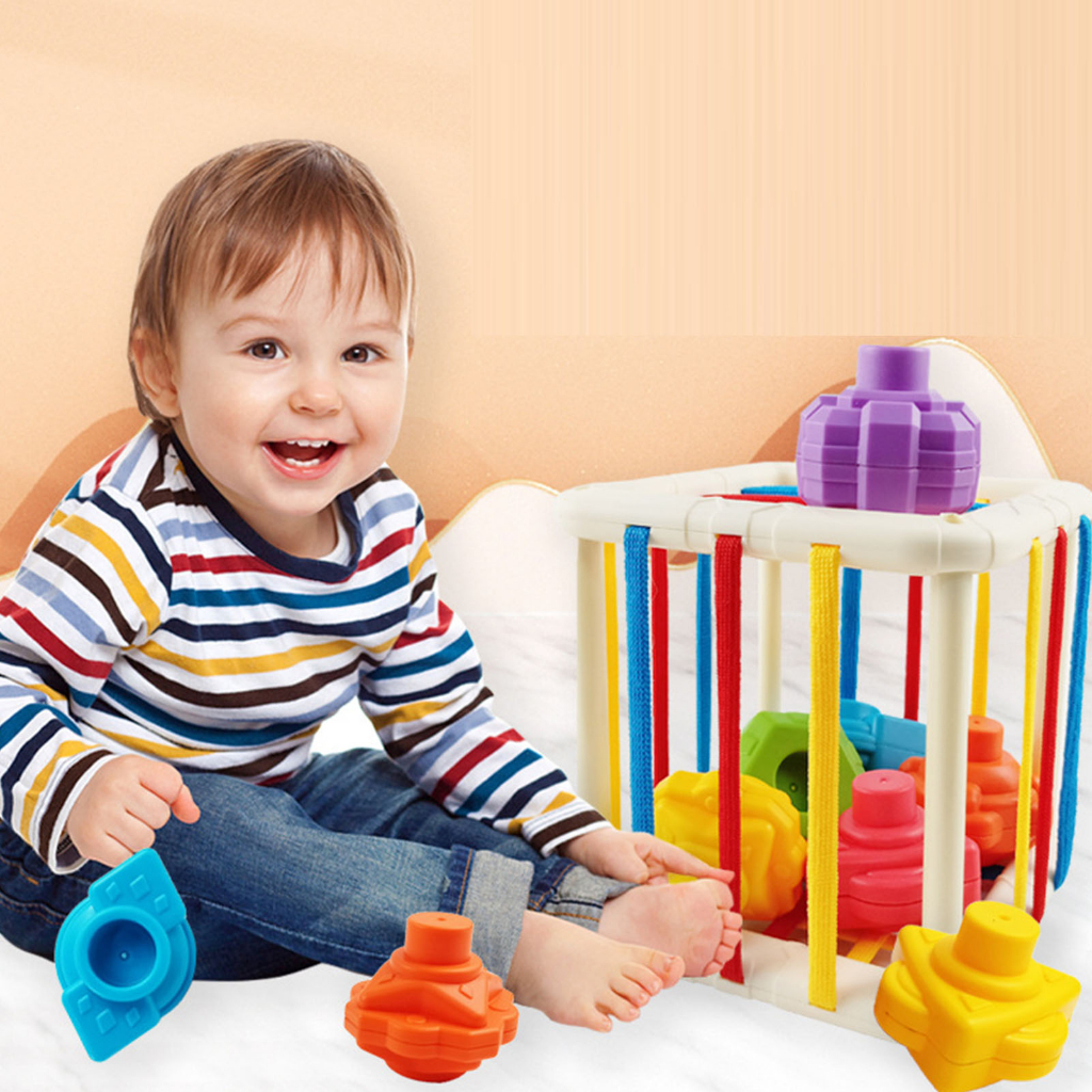 Có thể bán buôn Đồ chơi Montessori cảm giác cho bé Nhận biết màu sắc và hình dạng đào tạo kỹ năng vận động trẻ mới đi ToyRoom Hàng giao ngay