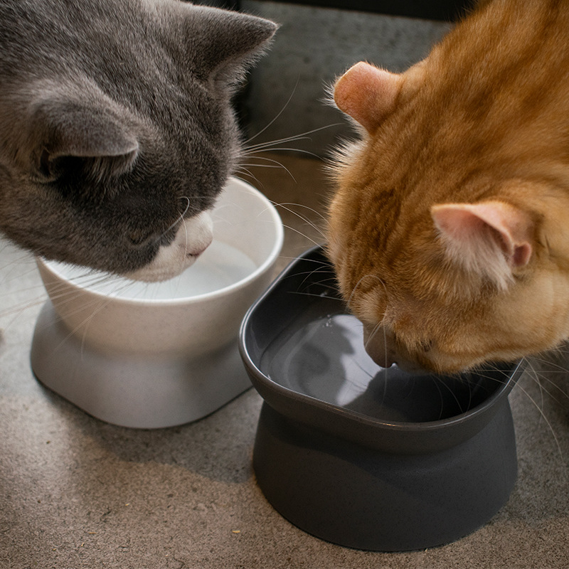 Có thể bán buôn Bát ăn cho thú cưng Bảo vệ cổ nghiêng Dung tích cao Dễ dàng sinh chống trượt Kitty chó mèo Virgina056 Hàng giao ngay