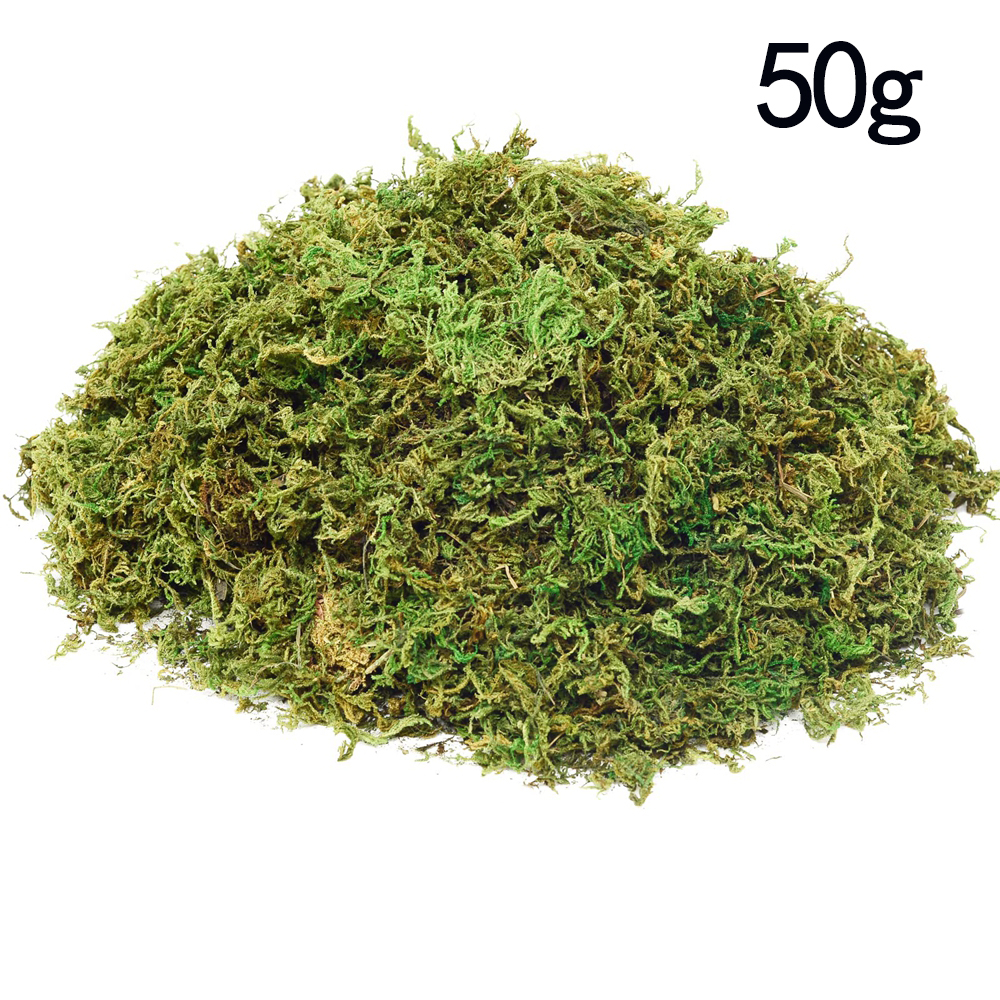 50g / 100g rêu tự nhiên rêu nhân tạo cho cây trồng trong chậu cây xanh rêu trang trí nội thất vườn cổ tích thủ công mỹ nghệ trang trí đám cưới