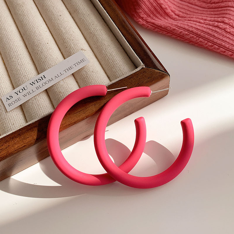 Bông Tai Mạ Bạc 925 Hình Tròn Cỡ Lớn Hình Hoa Hồng Thời Trang Mùa Hè 2024 y2k