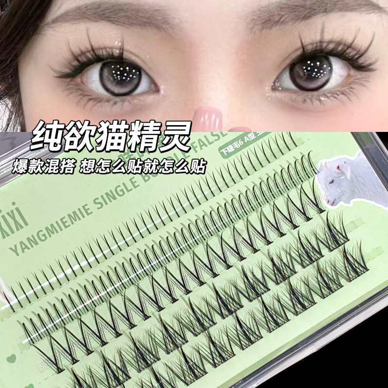 Lông Mi Giả Siêu Mịn Tự Nhiên Hình Quạt Đuôi Cá Cho Người Mới Bắt Đầu