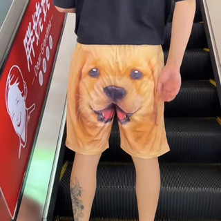 🔥Hàng tồn kho🔥 phong cách mới vui nhộn golden retriever quần short sáng tạo vui nhộn cho chó quần short bạn trai quần pyjama cún con quần pyjama nam quần đi biển quần short vui nhộn cặp đôi quần short cặp đôi quần pyjama bé trai
