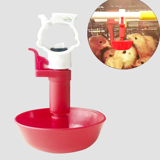 1 Bộ 5 Cốc Uống Nước Tự Động 20mm 25mm Cho Gà