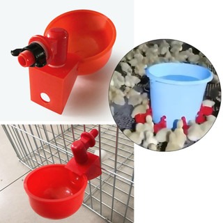 Máng Uống Nước Tự Động Cho Gà Vịt Vịt