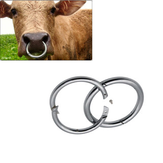 Big cattle Vòng Đeo Mũi Bò Sát Cỡ Lớn Bằng Thép Không Gỉ Cho Nông Trại