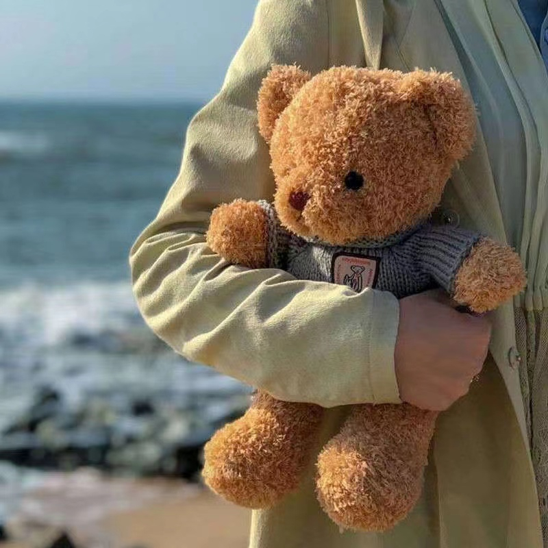 Thú Nhồi Bông Hình Gấu teddy Dễ Thương 20-40cm momo
