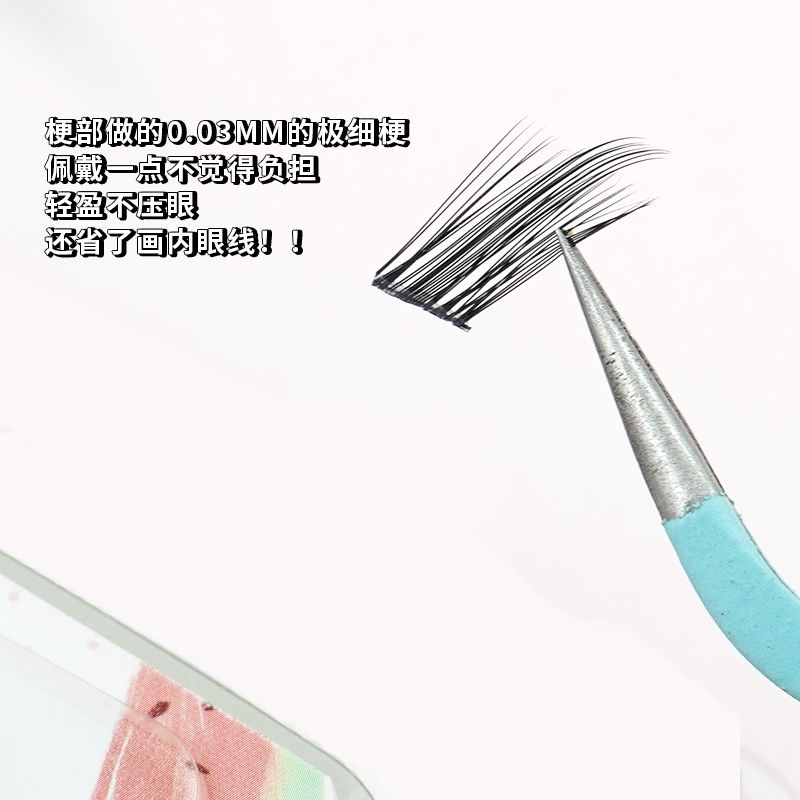 Cặp Lông Mi Giả Dài Và Dày Tự Nhiên