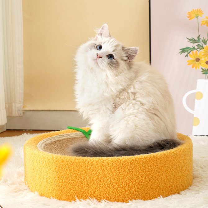 Bảng cào cho mèo Chậu cào mèo Loại bát  ổ mèo Đồ chơi cho mèo  Bảng móng vuốt mèo