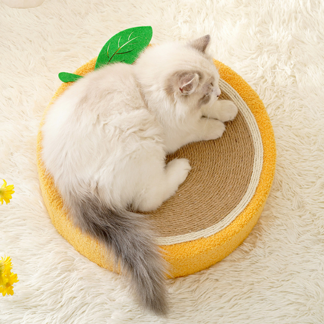 Bảng cào cho mèo Chậu cào mèo Loại bát  ổ mèo Đồ chơi cho mèo  Bảng móng vuốt mèo