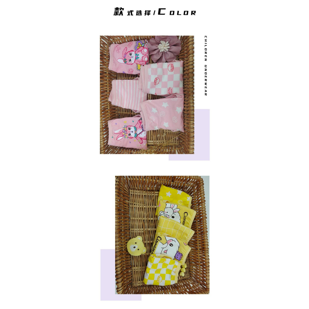 Bộ 5 Quần Lót Ngắn In Hoạt Hình kuromi mymelody cinnamoroll Dễ Thương Cho Bé
