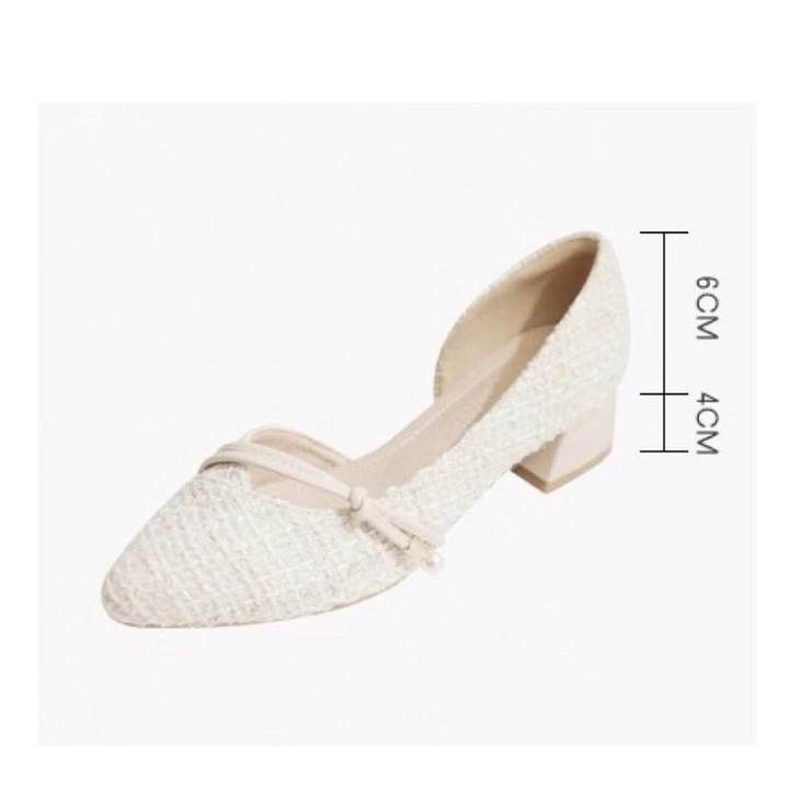 Giày Cao Gót 6cm Thiết Kế Sành Điệu Cho NữDễ Thương Giày Cao Gót Mũi Nhọn Thời Trang Công Sở Cho Nữ