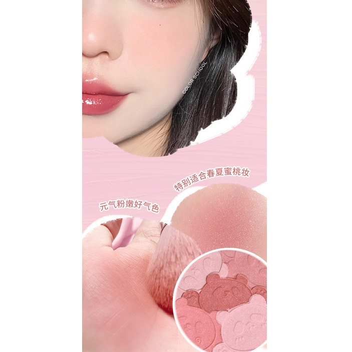 Màu Sắc Phấn Má Hồng 5 Màu gradient school panda CS042