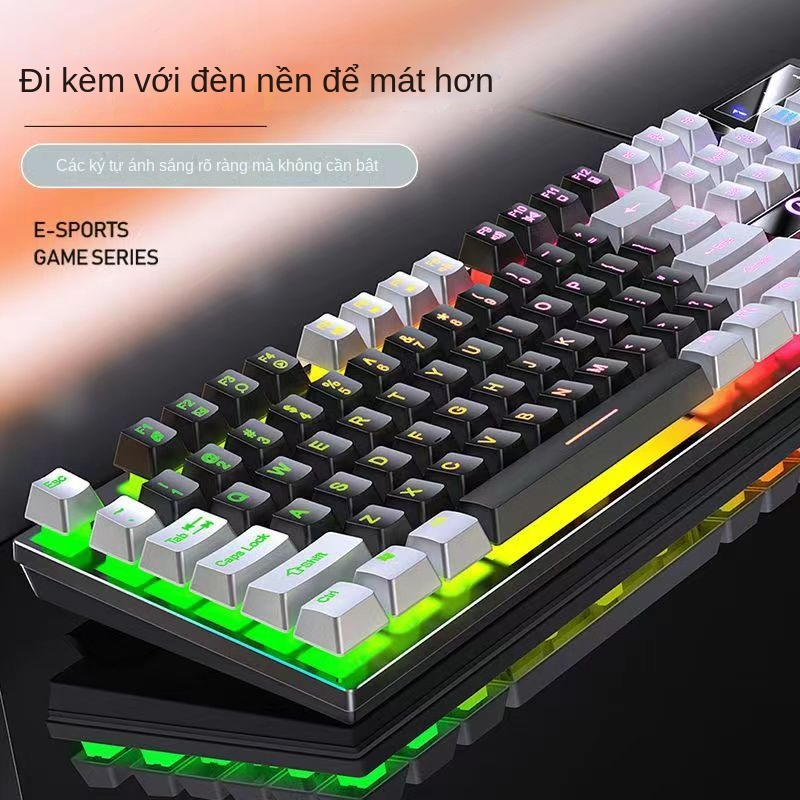 Bàn Phím Cơ Hai Màu Trắng Xanh Dương Hình Gấu / Dâu Tây Có Dây Cho Máy Tính Chơi game Văn Phòng