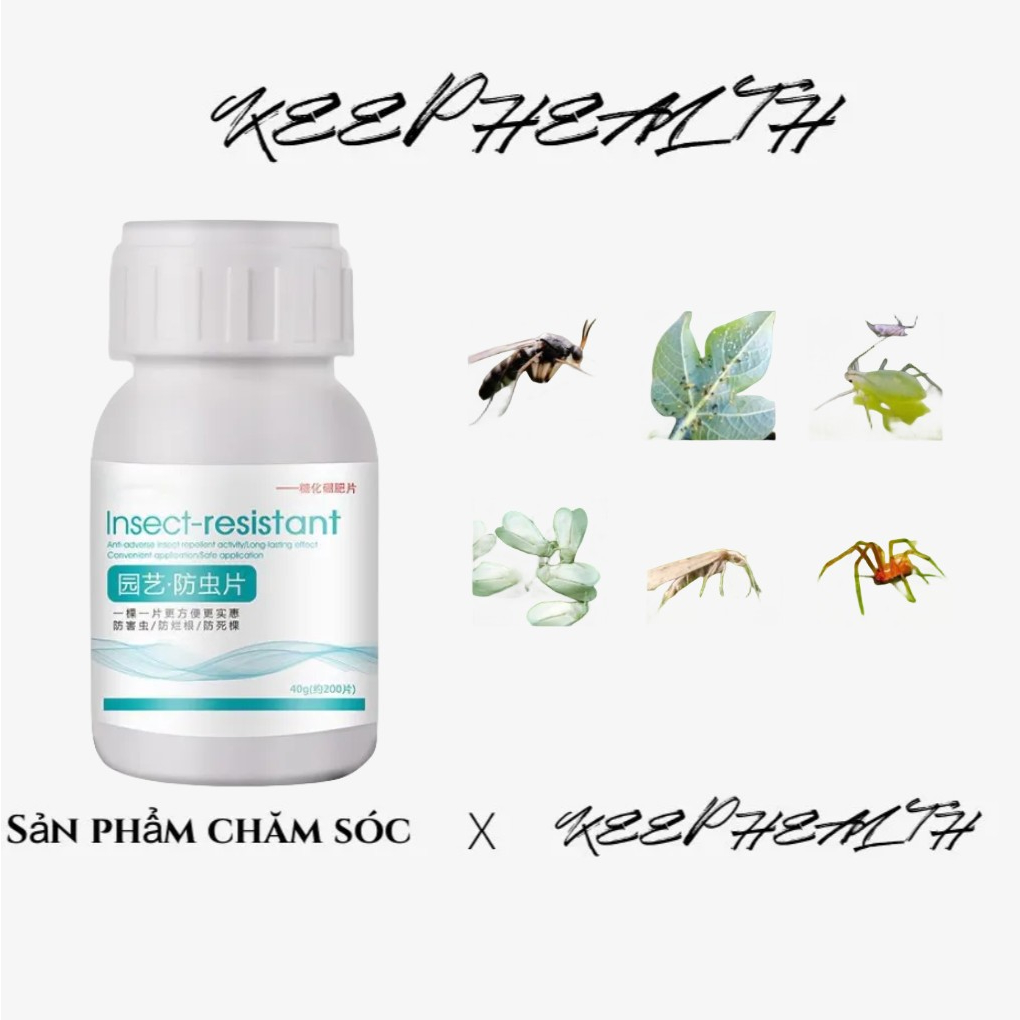 Viên Phân Bón Trồng Cây Chống Côn Trùng Chống Nhiễm Trùng