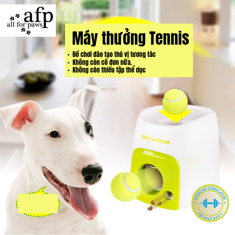 Có thể bán buôn Máy phóng bóng tự động cho chó ném tennis tương tác ngoài trời trong nhà Virgina056 Hàng giao ngay