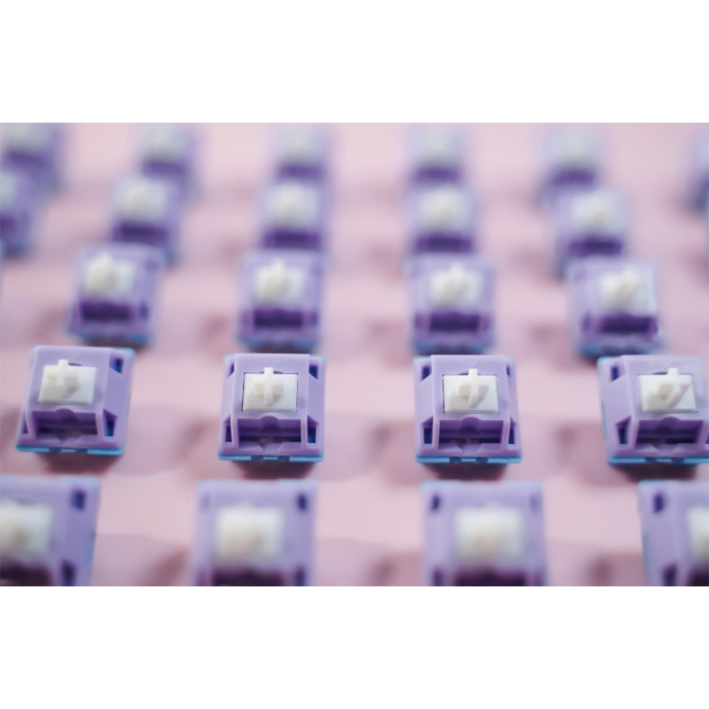 Công Tắc Tuyến Tính Phiên Bản Nâng Cấp rgb 5 pin Chống Bụi Cho Bàn Phím Cơ ktt blueberry v2