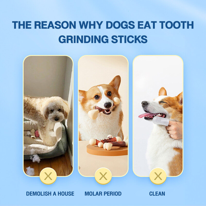 PAWPET Chó ăn vặt gà quấn que sữa mài răng 100g hzmps0018