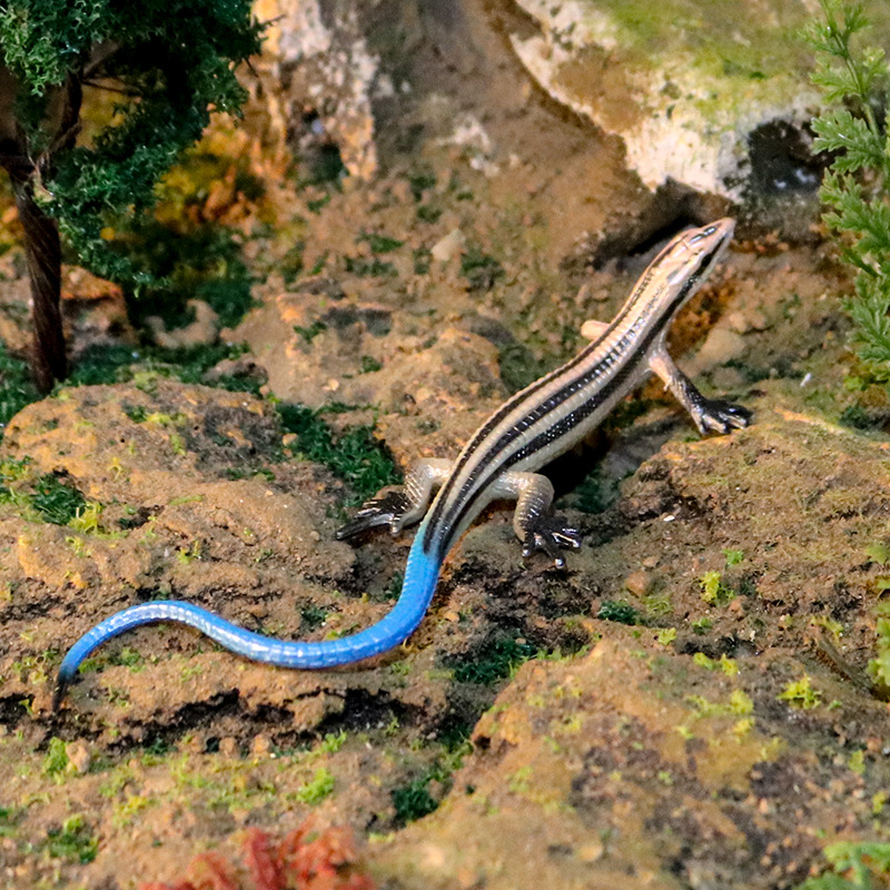 Mô Hình Thằn Lằn Đồ Chơi Trang Trí