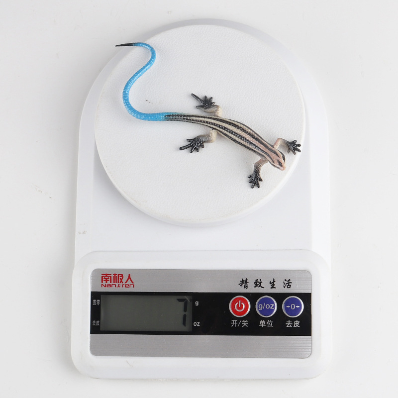 Mô Hình Thằn Lằn Đồ Chơi Trang Trí